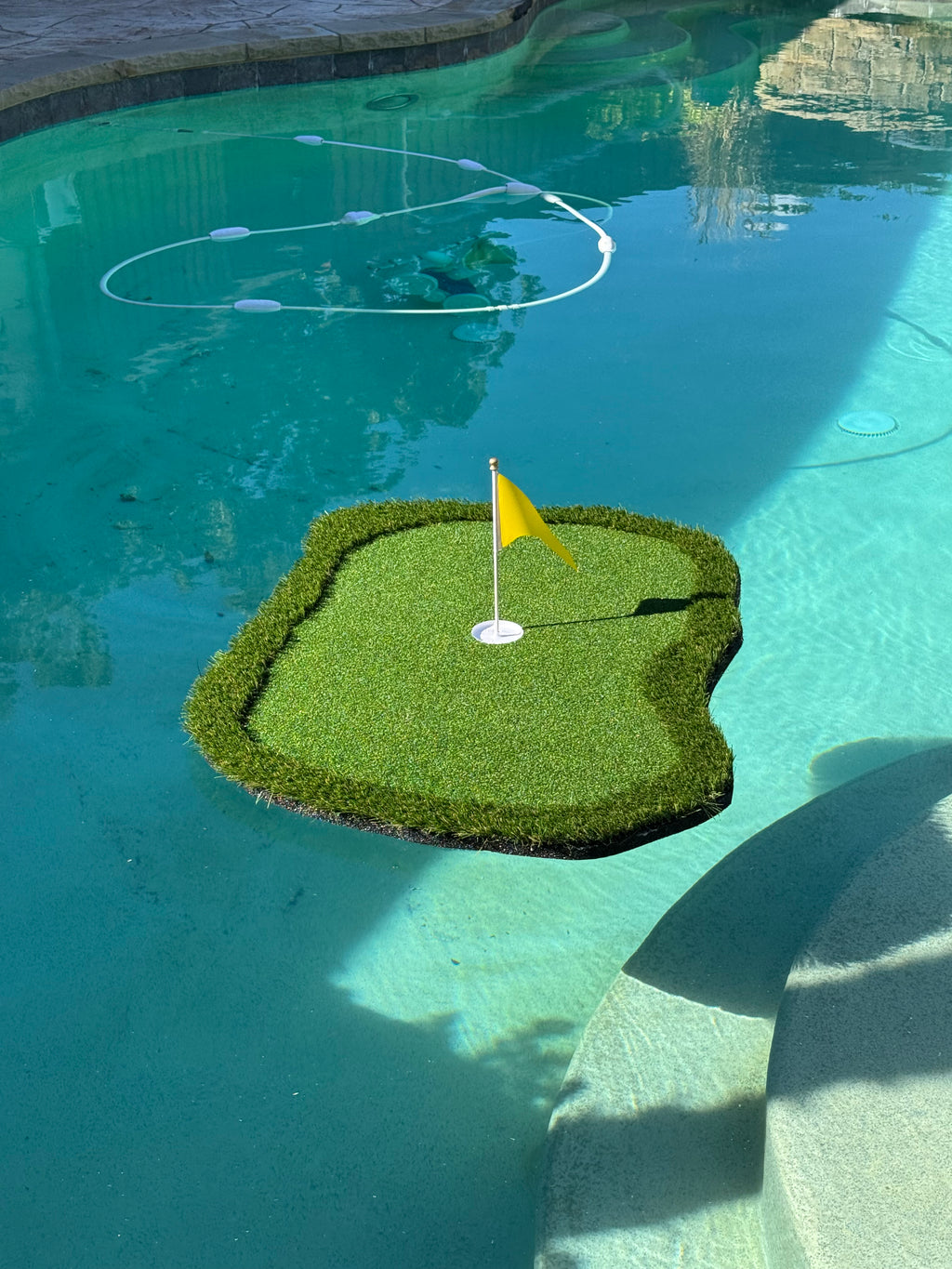 Chip 'n' Swim Standard