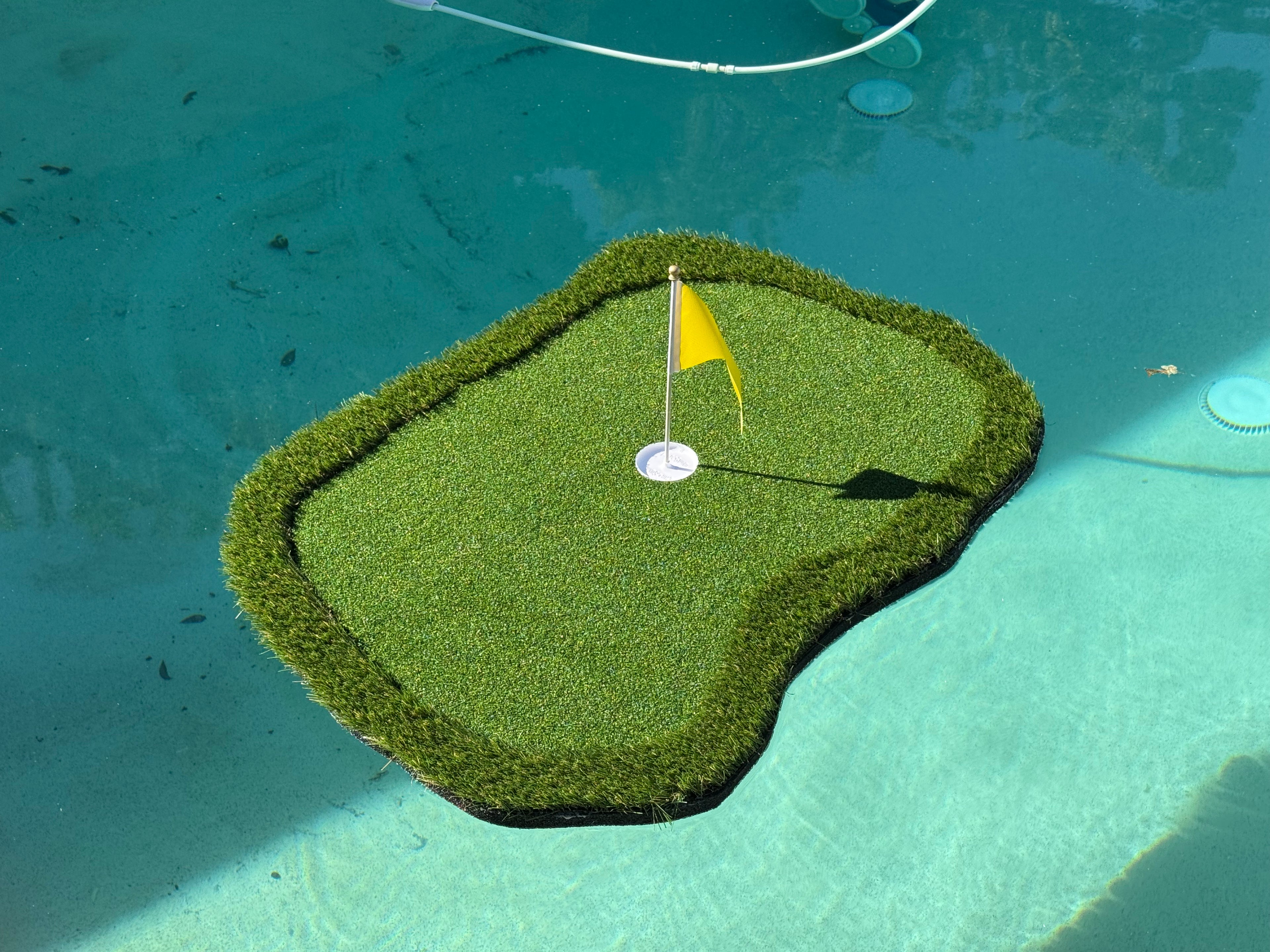 Chip 'n' Swim Standard