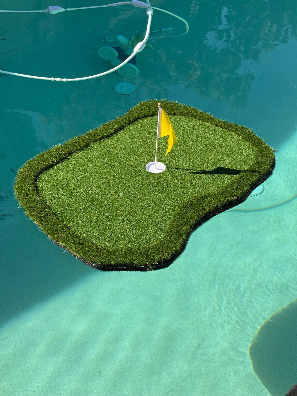 Chip 'n' Swim Standard